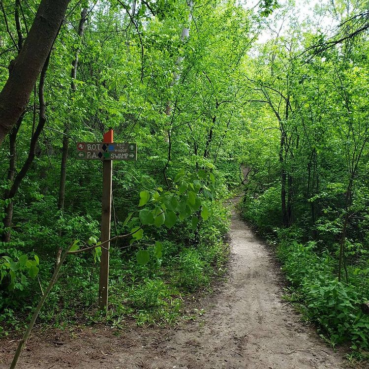mtb_toronto